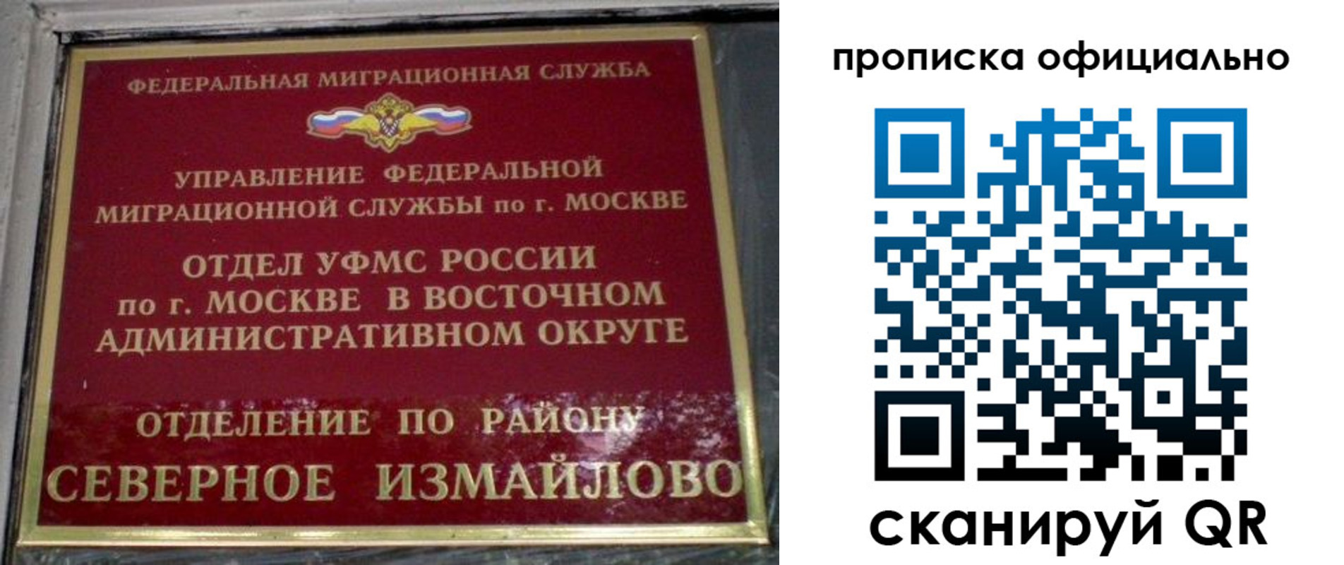 найти адрес прописки в Луге