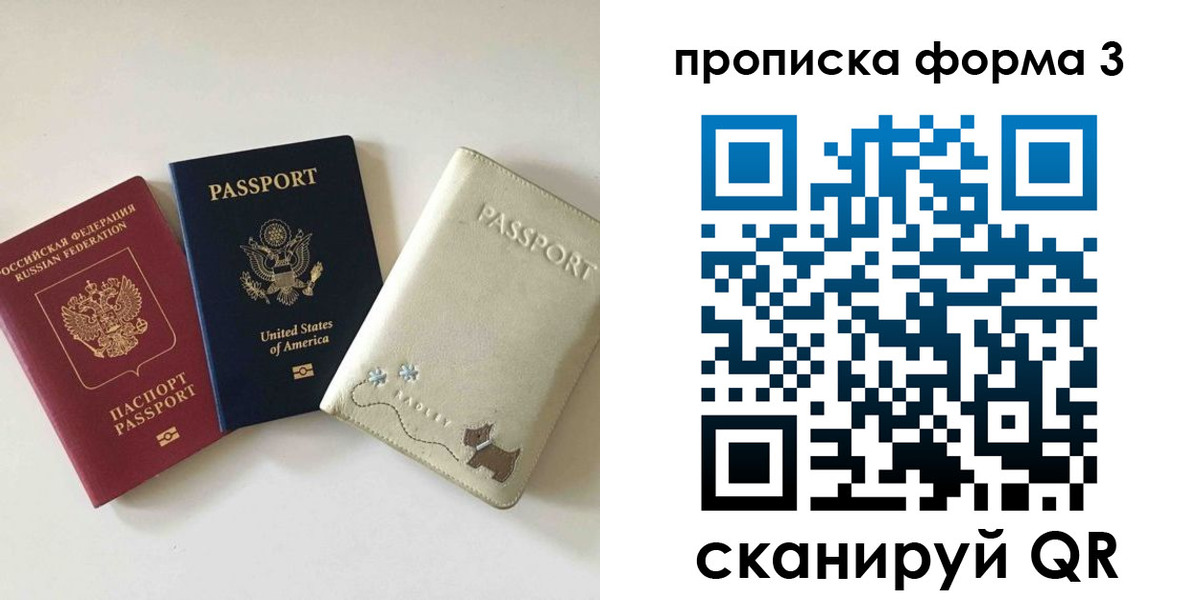 временная регистрация госуслуги в Луге