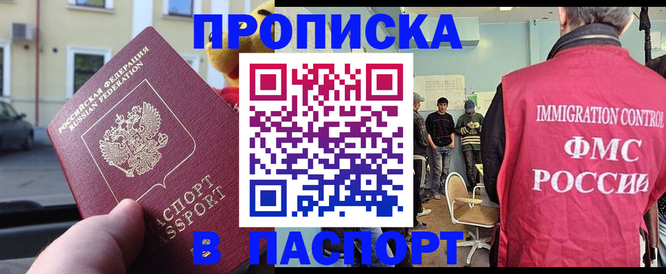 временная регистрация поиск в Луге